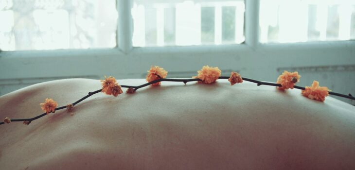 orange petaled flowers on person s back